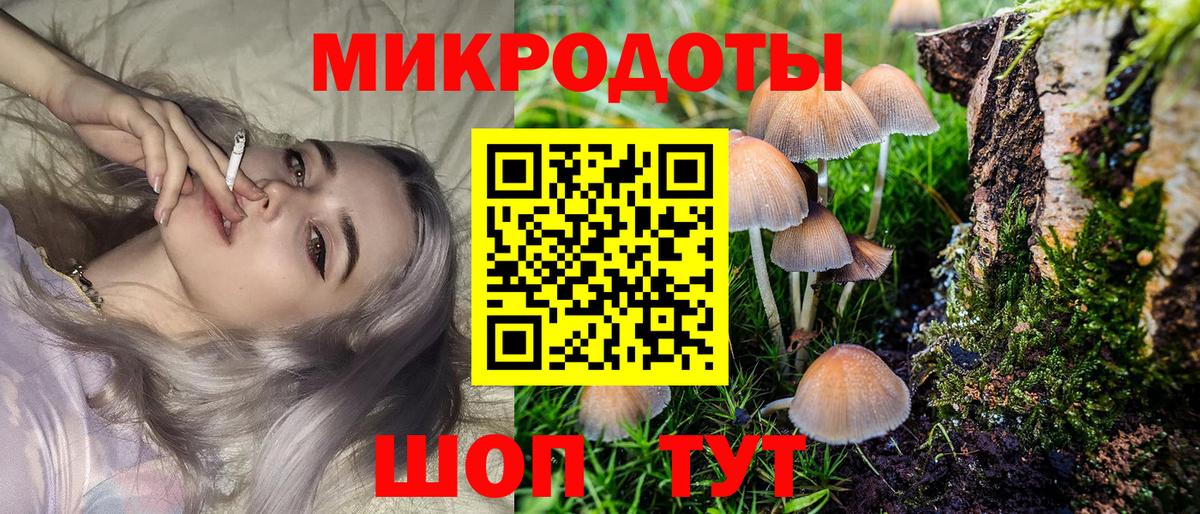 Галлюциногенные грибы Psilocybe  Вход с VPN  Россошь 